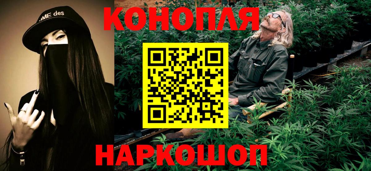 Каннабис планчик Муром